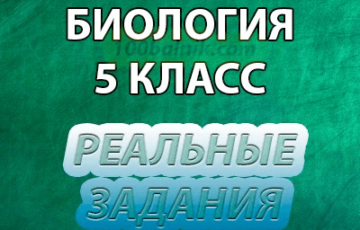 впр 2020 по биологии 5 класс задания и ответы