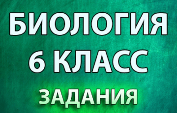 впр 2020 по биологии 6 класс