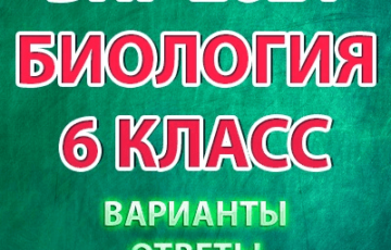 впр 2021 биология 6 класс варианты ответы