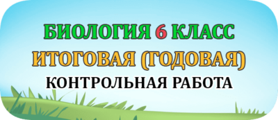 итоговая годовая контрольная работа по биологии 6 класс