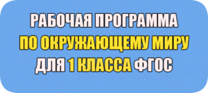 рабочая программа окружающий мир 1 класс ФГОС 2022-2023