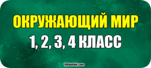 окружающий мир 1 2 3 4 класс