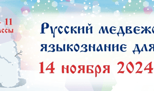 русский медвежонок 2024 ответы