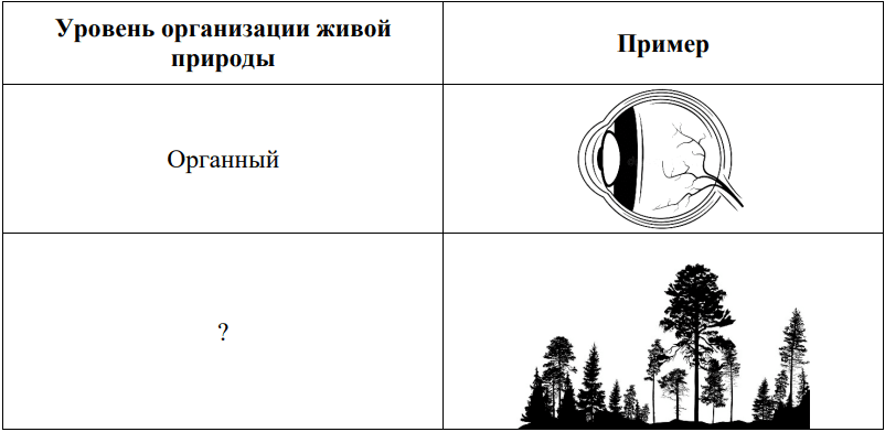 1 задание егэ 2025 по биологии 11 класс статград 17 марта