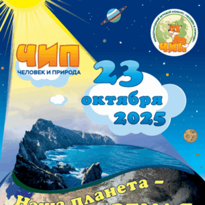конкурс чип 2025 ответы задания