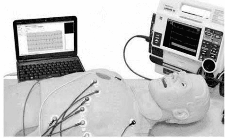 1 задание огэ 2026 по биологии 9 класс статград