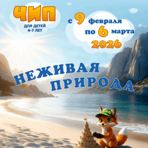 чип 2026 неживая природа