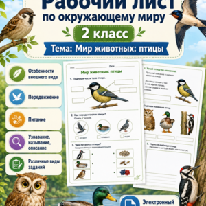 Мир животных: птицы рабочий лист 2 класс